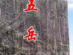 景觀石