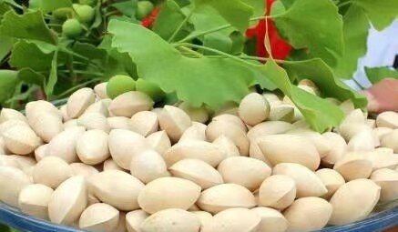 銀杏樹(shù)盆栽種植方法有哪些？